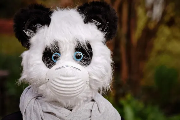 Casino Cyber Bingo Ondersteuning